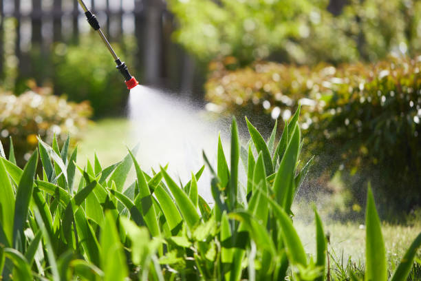 24/7 Emergency Mosquito Control experts in Martinsburg, WV