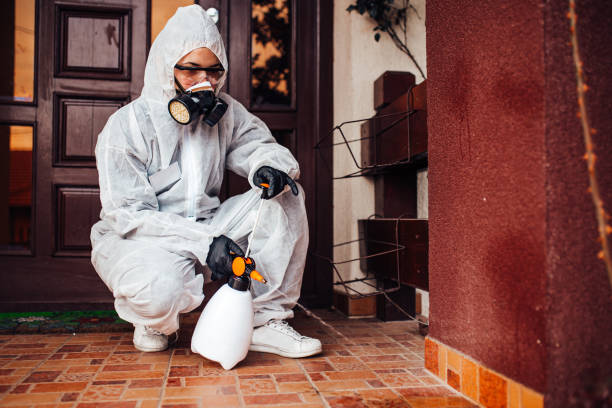 Reliable Mosquito Control contractor in Martinsburg, WV by Nex Pest Control